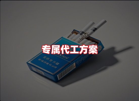 专业团队